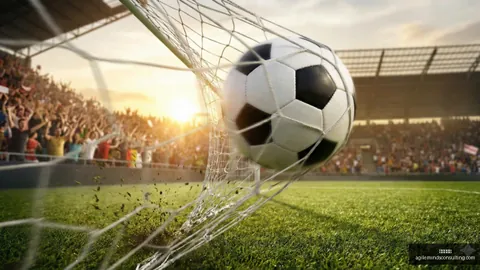 九游会官网，九游会真人， 094328
